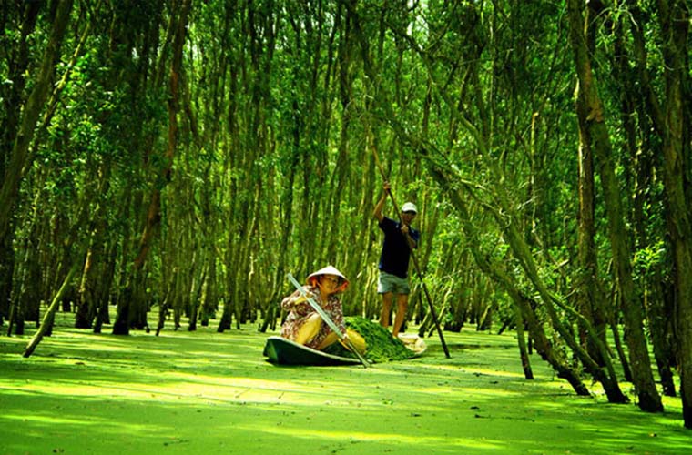 The 5 Best Things To See In the South of Vietnam Tra Su forrest